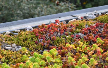 the cost of Lower Cox Street green roof installation