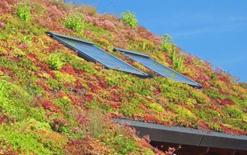 Lower Cox Street living roof systems